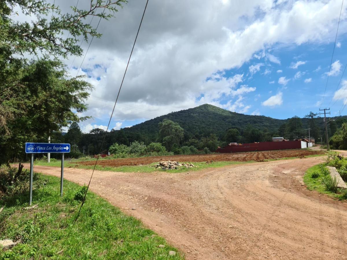 Finca Los Angeles Hospederia & Sociales Уаска-де-Окампо Экстерьер фото